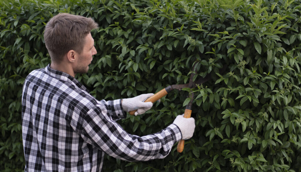 Gardening  Services